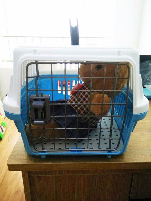 西安市宠物用品批发 宠物航空箱 便携带