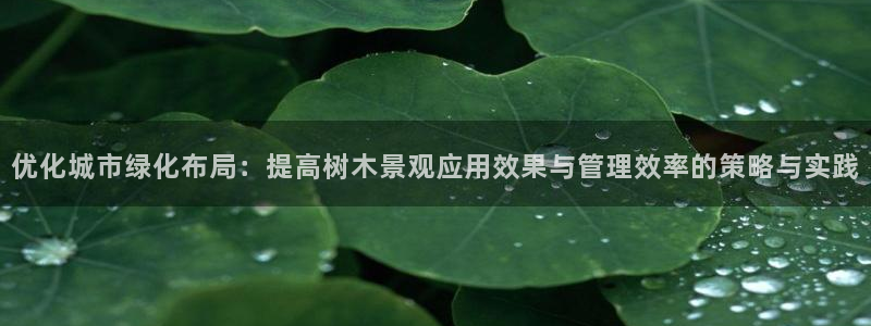 新宝gg注册新账号