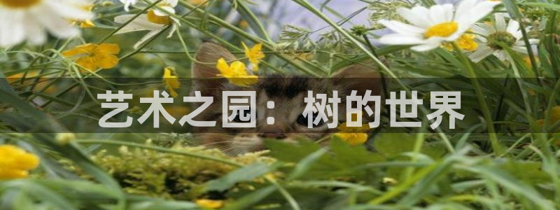 新宝gg招商42873