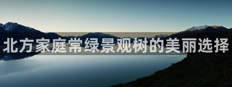 新宝gg官方主管