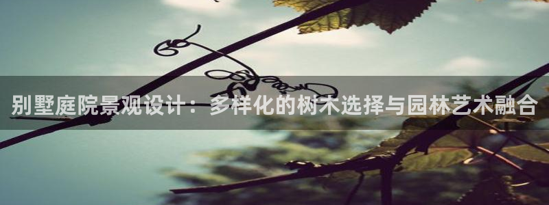 新宝gg总代理