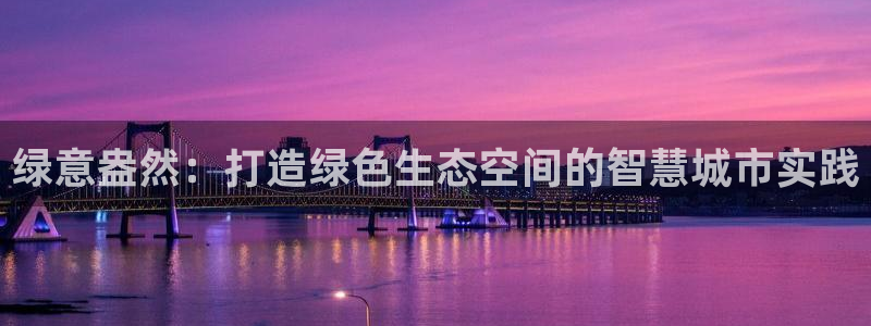 新宝gg 平台怎么样
