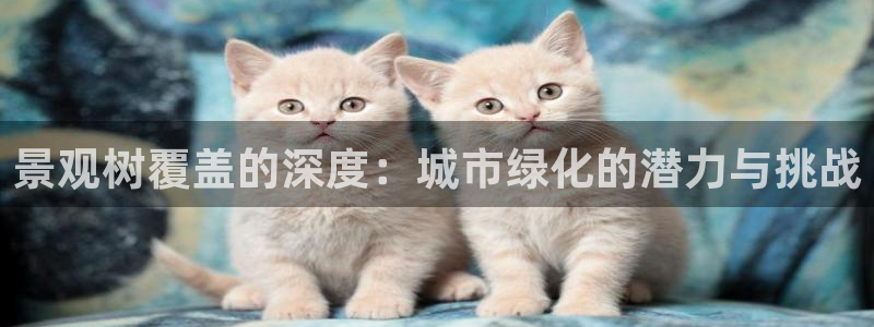 新宝gg工资