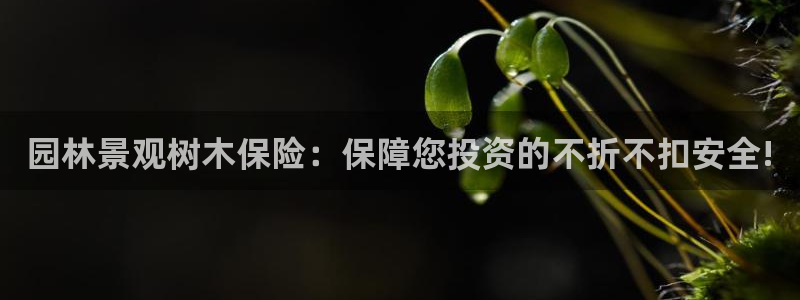 新宝gg总代理