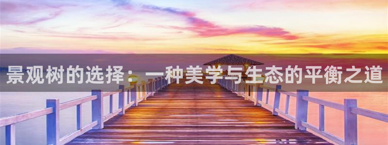 新宝GG绿色