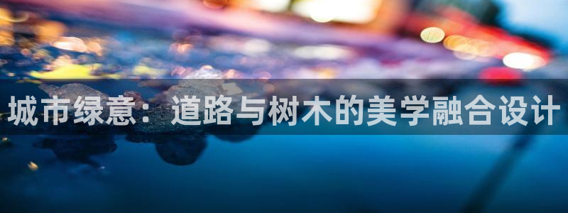 新宝gg联系