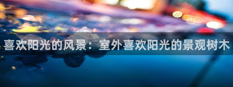 新宝gg用哪个浏览器