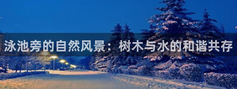 新宝gg返点