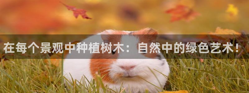 新宝GG绿色