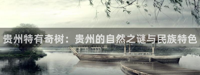新宝gg注
