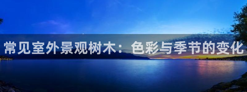 新宝gg反水