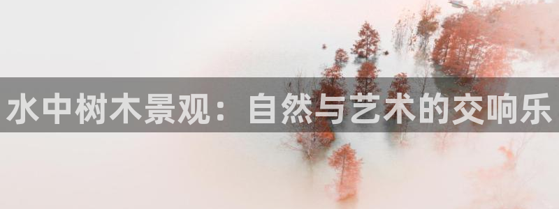 新宝GG桌面