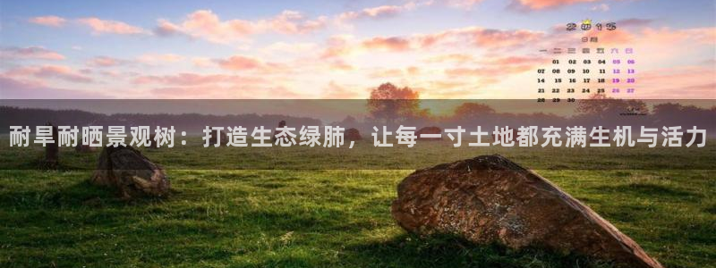 手机新宝gg