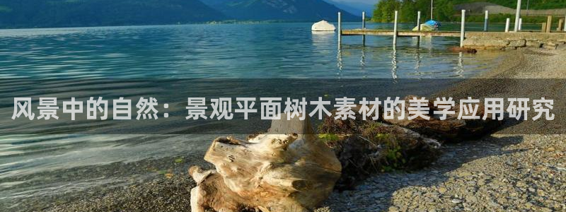 新宝gg好吗