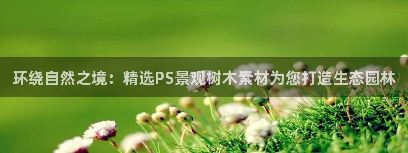 新宝新宝gg开户流程