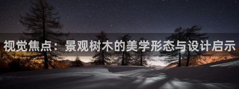 新宝GG 黑钱