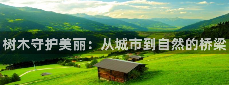 百度新宝gg