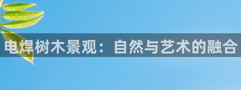 新宝gg娱乐上皇巢网