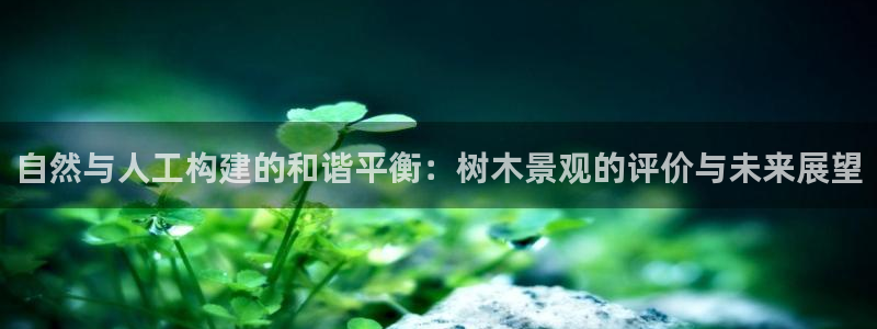 新宝gg娱乐平台