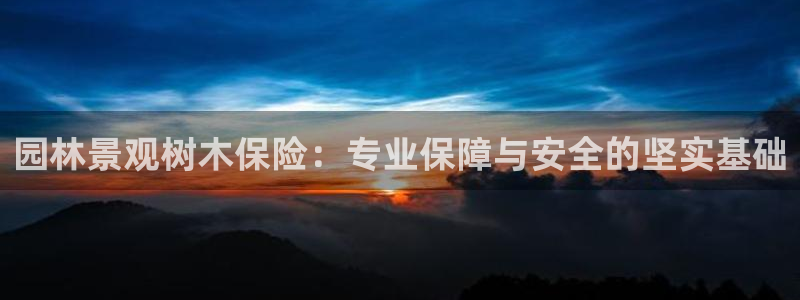 新宝gg怎么开户