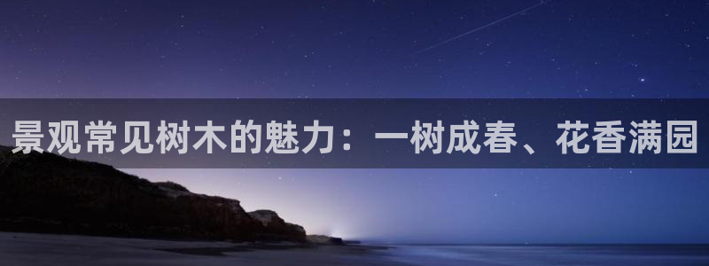 新宝gg计划