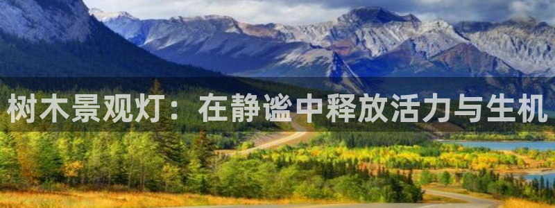 新宝gg论坛