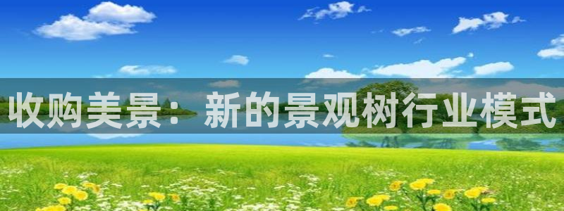 新宝gg类似