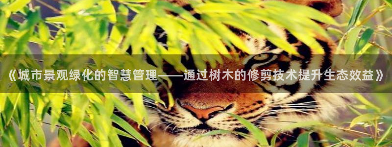 109新宝gg