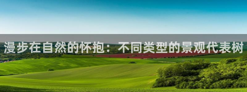 旧版新宝GG