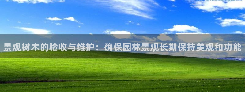 新宝gg游戏