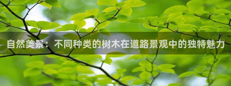 新宝gg地址新宝二
