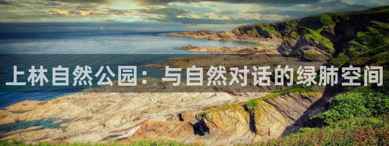 新宝gg — 创造!