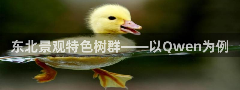新宝GG桌面：东北景观特色树群——以Qwen为例