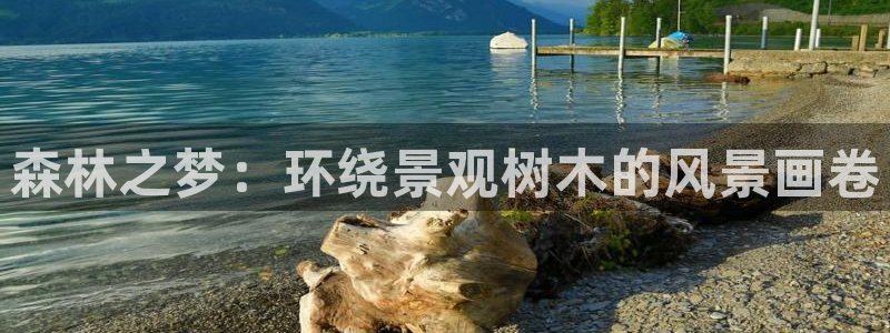 新宝gg待遇：森林之梦：环绕景观树木的风景画卷