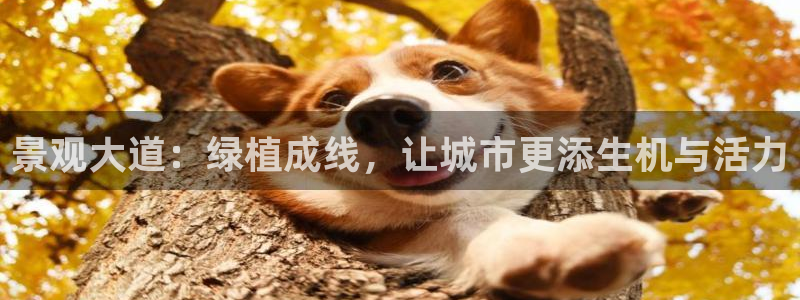 新宝gg娱乐盟主：景观大道：绿植成线，让城市更添生机与活力