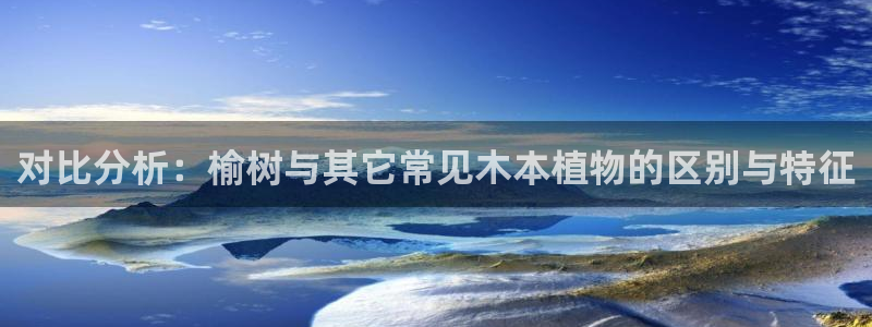 认准新宝gg