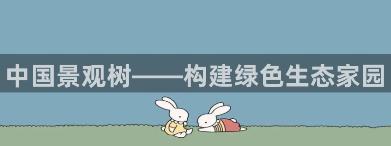 新宝gg体彩