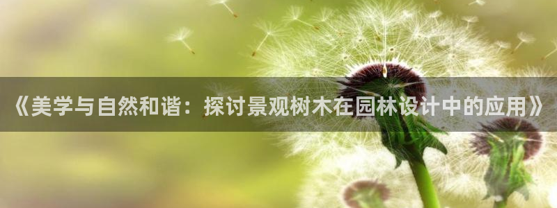 新宝gg客户端下载