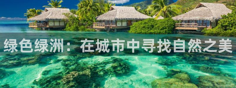 新宝奇迹GG