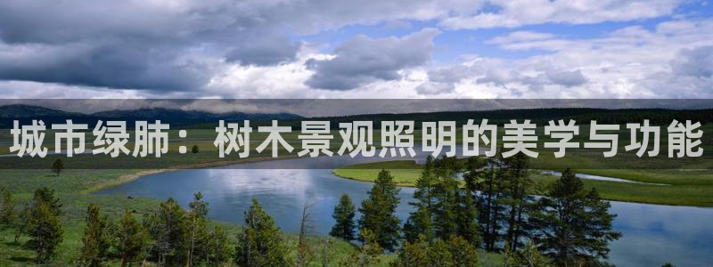 新宝gg开户：城市绿肺：树木景观照明的美学与功能