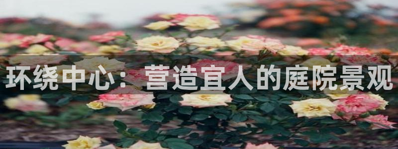 新gg官网_新宝GG创造奇迹