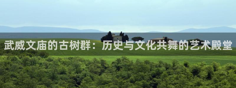 新宝gg创造奇迹登陆