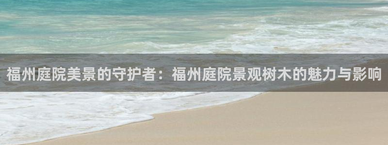 新宝gg怎么开户