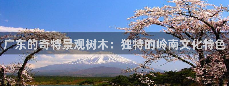 新宝gg开奖结果