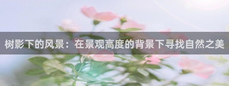 新宝g新宝gg