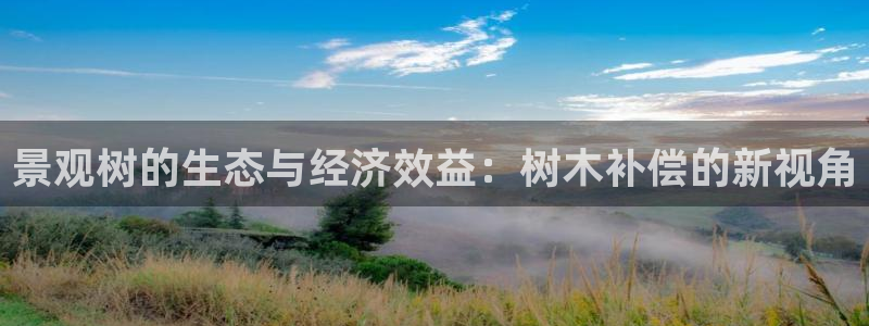 新宝GG网页