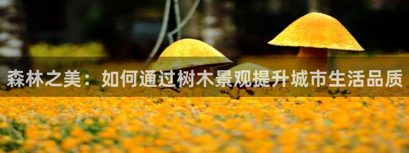 新宝GG网页