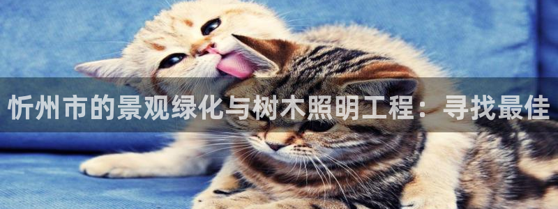 新宝gg娱乐上皇巢网：忻州市的景观绿化与树木照明工程：寻找最佳