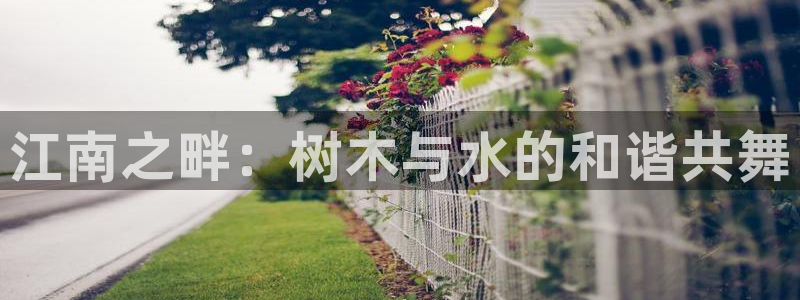 新宝gg扣钱