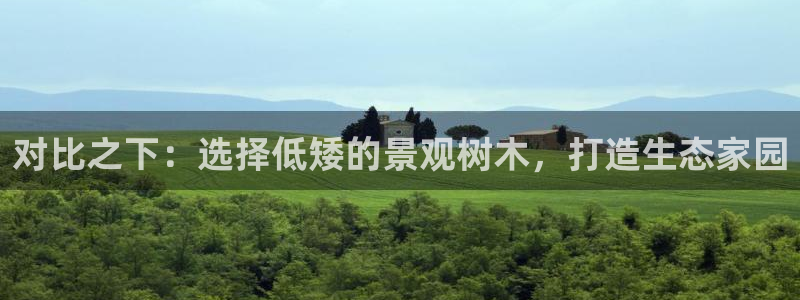 新宝gg 彩票